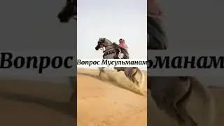 Вопрос мусульманам ч5 #islam #trending #подпишись #tiktok