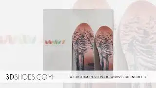 A CUSTOM REVIEW OF WIIVV'S 3D INSOLES