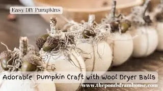 Adorable Pumpkin Craft with Wool Dryer Balls