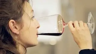 Wine-crazed (Les Toqués de Vins) - La Paulée Auvergnate (Trailer)