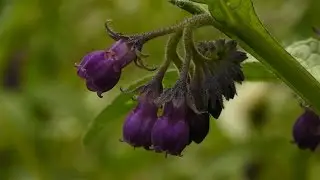 Lumix TZ81 4K Video-TEST | Dominik Sax