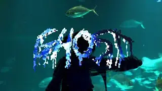 ASTROPHYSICS - ghost ft. Murrumur