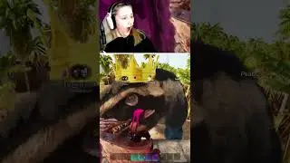 Loser Island vibes