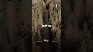 Егер осы төрт нәрсені айтсаң. 