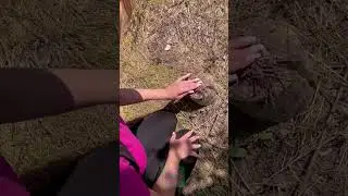 ASMR survival camping girl p9  #outdoors  #camping #alisha #asmr #marusya #BraveGals