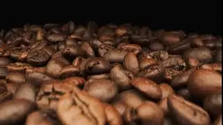 Roasted coffee beans - NO COPYRIGHT