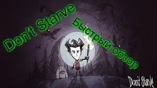 Don't Starve - Обзор без шелухи