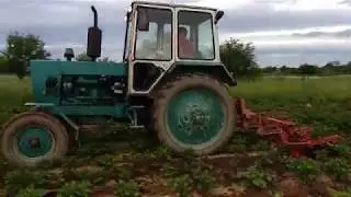 Трактор ЮМЗ. Обробка картоплі.