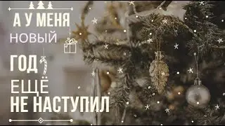 НЕ ЗНАЮ КАК У ВАС, А У МЕНЯ НОВЫЙ ГОД ЕЩЁ НЕ НАСТУПИЛ 