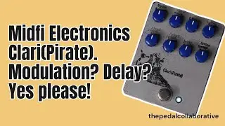 First Sounds of Mid-Fi Electronics Clari(Pirate) // NO TALKING #delay #modulation #weird