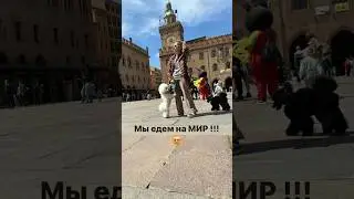 Мы едем на мир!
