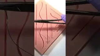 Почему одни швы рассасываются , а другие нет | Тренажер Scalpel med