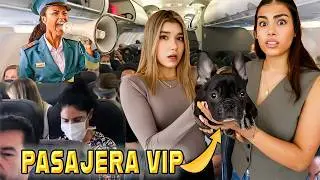Intente Subir a Mi Perrita a Un Avion Como Pasajera ¿Me Echaron? | Ana Emilia