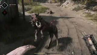 Hunt Showdown (386) ПХД 119