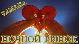 Ночной рынок Камала бич Пхукет 2024. Цены на уличную еду в Таиланде. Kamala Night Market.