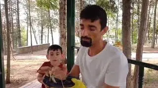 etçil çekirge,saga