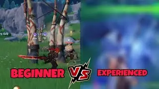 Beginner vs Experienced Player in Genshin Impact