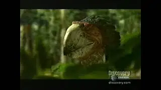 Walking With Beasts New Dawn (American Version) Part 3