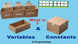 variables and Constants in Computer Programming - Full Explanation