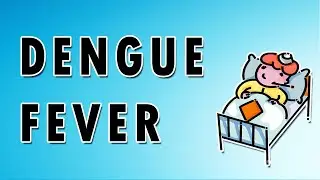 Dengue Fever