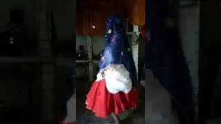 Dashe dance happy panchal
