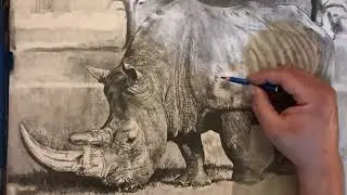 Come disegnare un rinoceronte parte 19