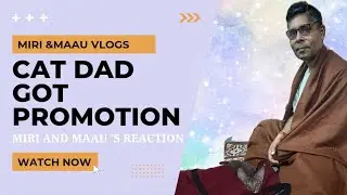 Cat dad got promoted|My father get promotion|Happiest day of Miri 😻and Maau's Life|Mini vlogs