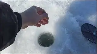 Лёгкое бездорожье! жерлицы на реке! закрытие льда 2022