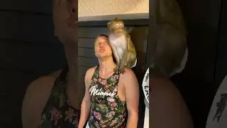 Встречает друга с СВО  #обезьянкачита  #сво #россия