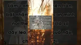 Làm con chũ hiếu nên tròn