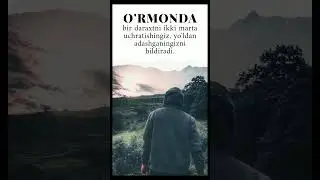 O'rmonda... #manolisozlar #aqlligaplar #manoligaplar #mybloopers #shorts #short #sevgi #aql