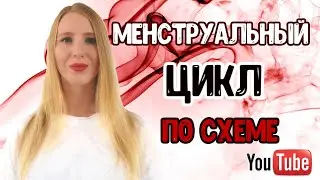 Менструальный цикл/Гормоны