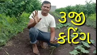 3જી કટિંગ 