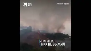 Предсказания Инги Хосроевой  Видео от Эльзы 5:04:2022
