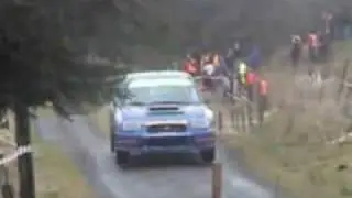 irish  rallying