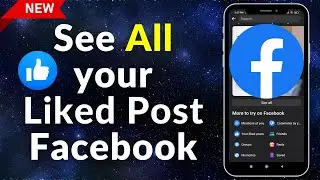 How to See All Liked Posts on Facebook (2024)