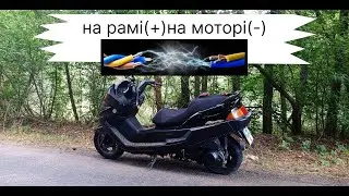 Majesty 250 На рамі (+) на моторі (-)