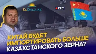 Казахстанское зерно в Китае: логистика, перспективы и бюрократия в 2024