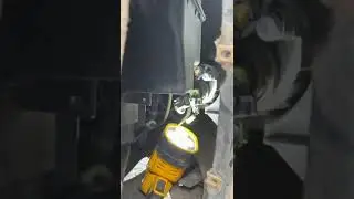 2015 Nissan Pathfinder Daylight Running Light (DRL) bulb change (Canada)