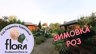 Зимовка Роз - Сад Людмилы Кудасовой