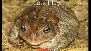 Toadled