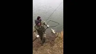 Осенняя рыбалка на Реке Меша. Осенний жор хищников. Судак!