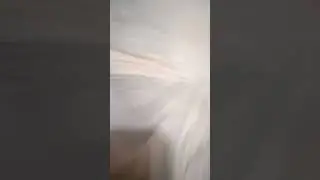 27 мая 2024 г.