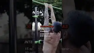 CLARO Y CONCISO: Cuántas series hacer por grupo muscular
