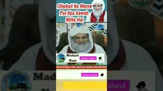 Chipkali Marne Se Kya Sawab Milta Hai ?