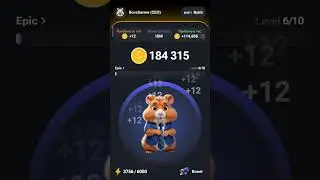 #hamsterkombat