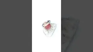 Bague argent Rhodonite 6 carat