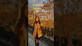 Запах Улиц Еревана❤️ Кавер 