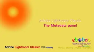 Adobe Lightroom Classic - The Metadata panel