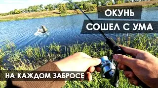 ОКУНЬ СШЁЛ С УМА! ПОПАЛ НА БЕШЕНЫЙ КЛЕВ!